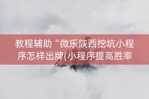 教程辅助“微乐陕西挖坑小程序怎样出牌(小程序提高胜率)
