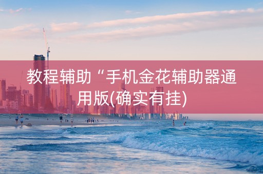 教程辅助“手机金花辅助器通用版(确实有挂)