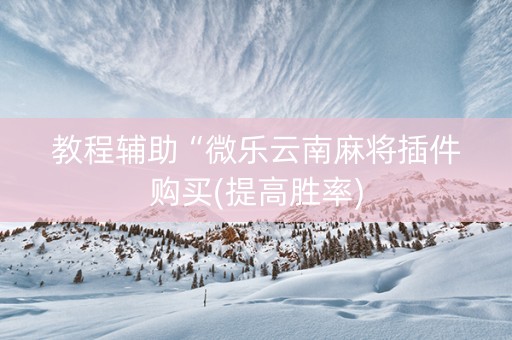 教程辅助“微乐云南麻将插件购买(提高胜率)
