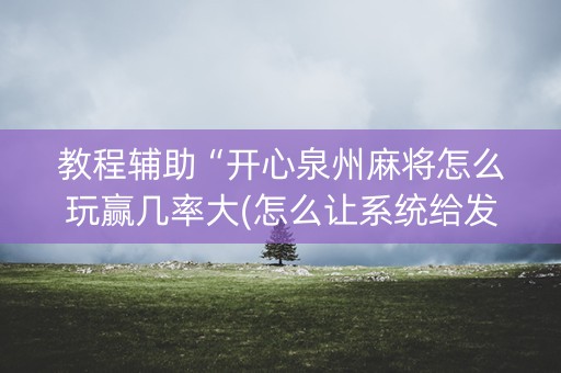 教程辅助“开心泉州麻将怎么玩赢几率大(怎么让系统给发好牌)
