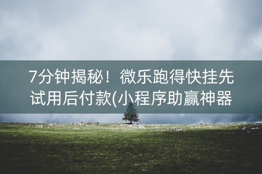 7分钟揭秘！微乐跑得快挂先试用后付款(小程序助赢神器)