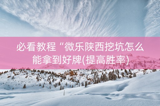 必看教程“微乐陕西挖坑怎么能拿到好牌(提高胜率)
