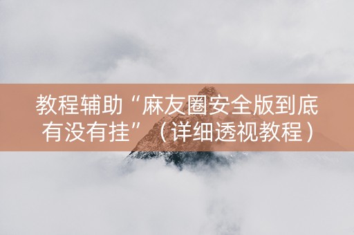 教程辅助“麻友圈安全版到底有没有挂”（详细透视教程）-哔哩哔哩