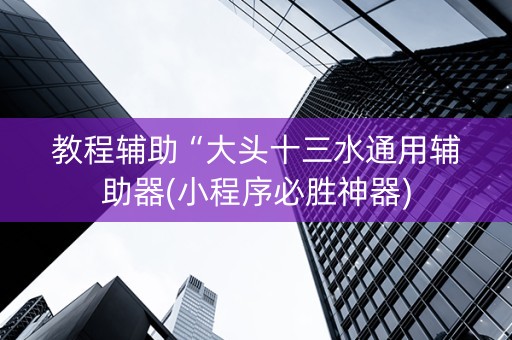 教程辅助“大头十三水通用辅助器(小程序必胜神器)