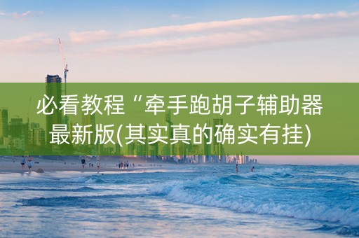 必看教程“牵手跑胡子辅助器最新版(其实真的确实有挂)
