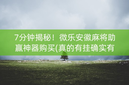 7分钟揭秘！微乐安徽麻将助赢神器购买(真的有挂确实有挂)