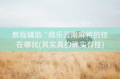 教程辅助“微乐云南麻将的挂在哪找(其实真的确实有挂)