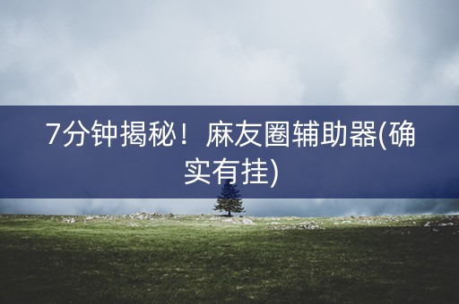 7分钟揭秘！麻友圈辅助器(确实有挂)