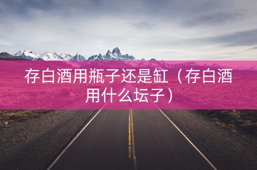 存白酒用瓶子还是缸（存白酒用什么坛子）