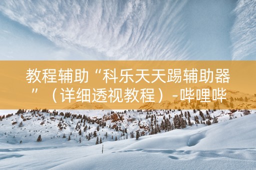 教程辅助“科乐天天踢辅助器”（详细透视教程）-哔哩哔哩