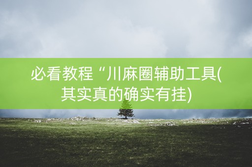 必看教程“川麻圈辅助工具(其实真的确实有挂)