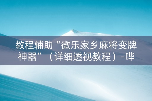 教程辅助“微乐家乡麻将变牌神器”（详细透视教程）-哔哩哔哩