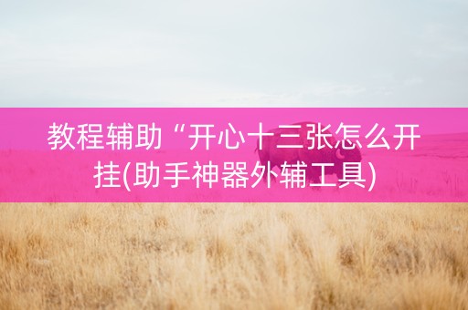 教程辅助“开心十三张怎么开挂(助手神器外辅工具)