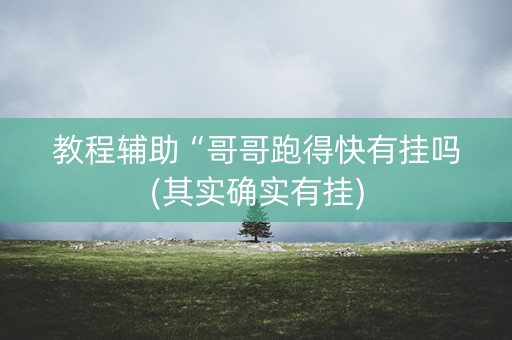 教程辅助“哥哥跑得快有挂吗(其实确实有挂)