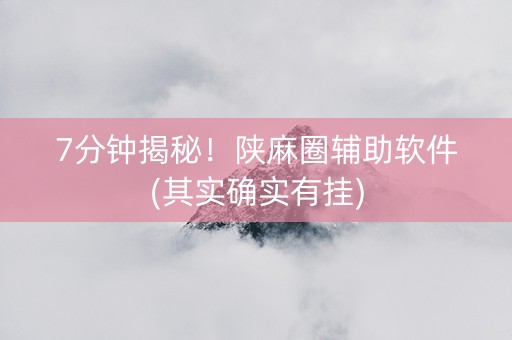7分钟揭秘！陕麻圈辅助软件(其实确实有挂)