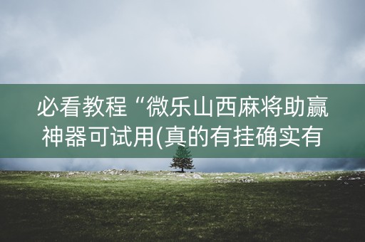 必看教程“微乐山西麻将助赢神器可试用(真的有挂确实有挂)