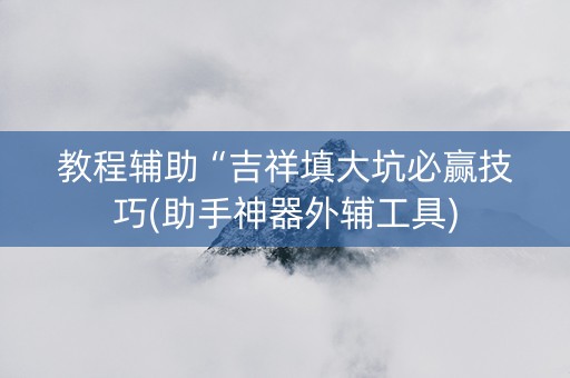 教程辅助“吉祥填大坑必赢技巧(助手神器外辅工具)