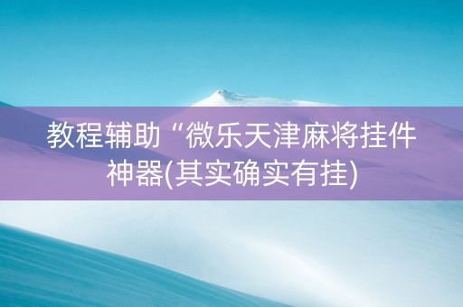 教程辅助“微乐天津麻将挂件神器(其实确实有挂)