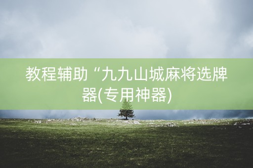 教程辅助“九九山城麻将选牌器(专用神器)
