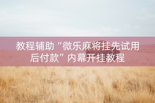 教程辅助“微乐麻将挂先试用后付款”内幕开挂教程