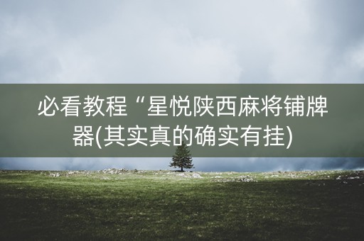 必看教程“星悦陕西麻将铺牌器(其实真的确实有挂)