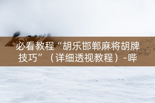 必看教程“胡乐邯郸麻将胡牌技巧”（详细透视教程）-哔哩哔哩