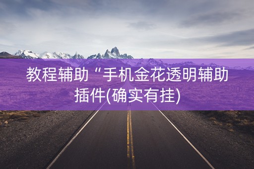 教程辅助“手机金花透明辅助插件(确实有挂)