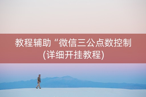 教程辅助“微信三公点数控制(详细开挂教程)