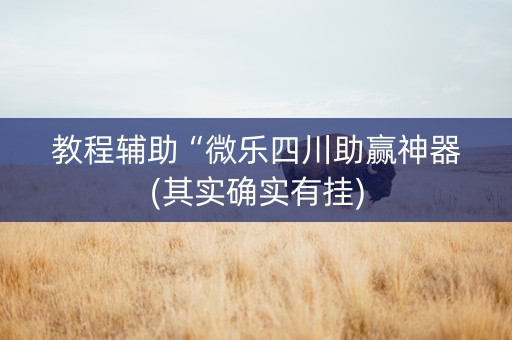教程辅助“微乐四川助赢神器(其实确实有挂)