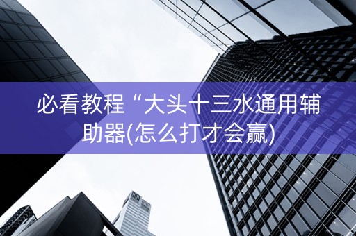 必看教程“大头十三水通用辅助器(怎么打才会赢)
