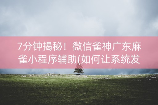 7分钟揭秘！微信雀神广东麻雀小程序辅助(如何让系统发好牌)