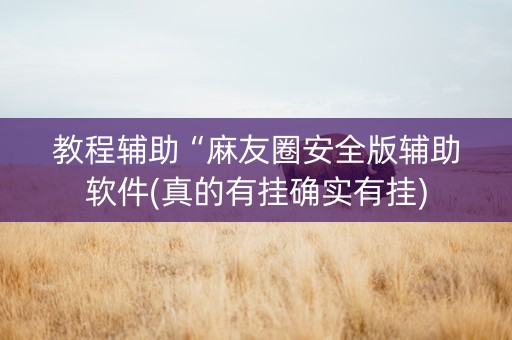 教程辅助“麻友圈安全版辅助软件(真的有挂确实有挂)