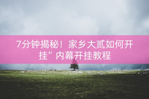 7分钟揭秘！家乡大贰如何开挂”内幕开挂教程