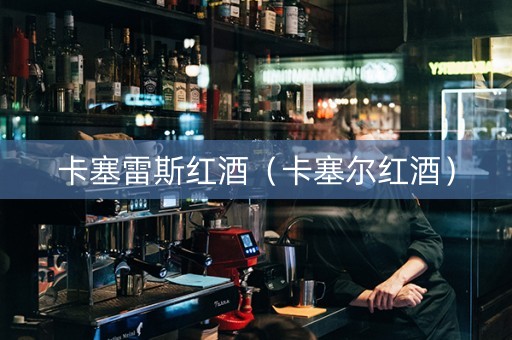 卡塞雷斯红酒（卡塞尔红酒）