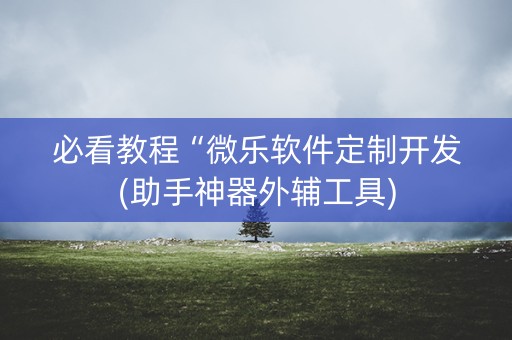 必看教程“微乐软件定制开发(助手神器外辅工具)