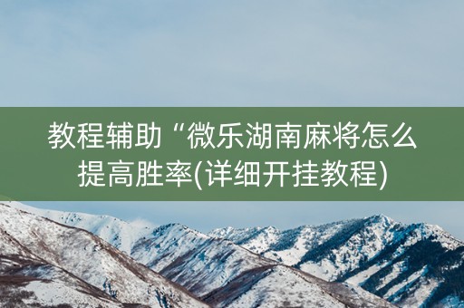 教程辅助“微乐湖南麻将怎么提高胜率(详细开挂教程)