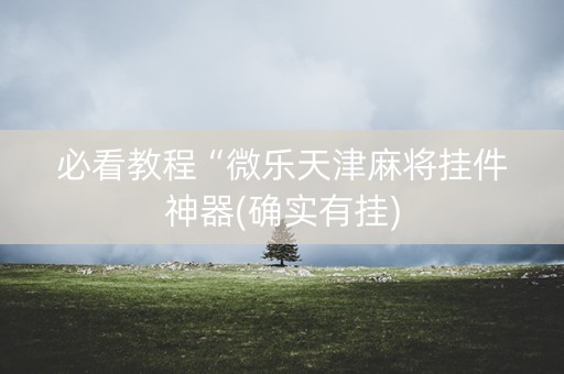 必看教程“微乐天津麻将挂件神器(确实有挂)