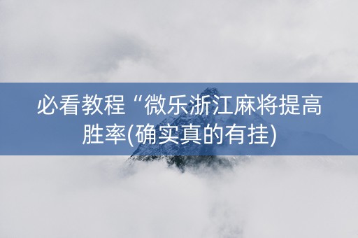 必看教程“微乐浙江麻将提高胜率(确实真的有挂)