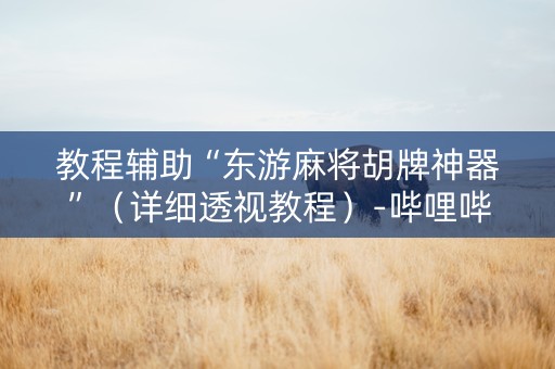 教程辅助“东游麻将胡牌神器”（详细透视教程）-哔哩哔哩
