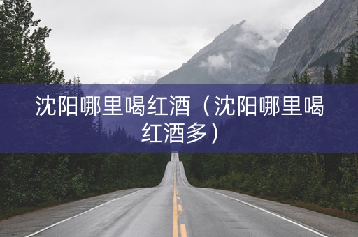 沈阳哪里喝红酒（沈阳哪里喝红酒多）