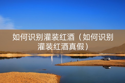 如何识别灌装红酒（如何识别灌装红酒真假）