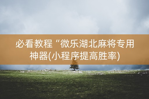 必看教程“微乐湖北麻将专用神器(小程序提高胜率)