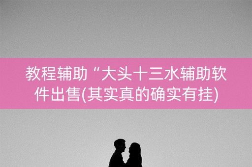 教程辅助“大头十三水辅助软件出售(其实真的确实有挂)