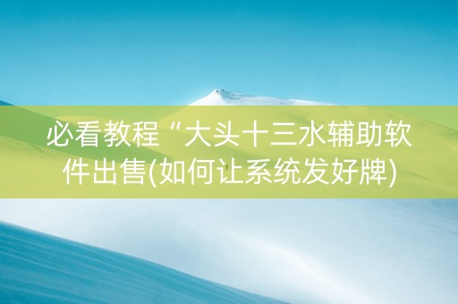 必看教程“大头十三水辅助软件出售(如何让系统发好牌)