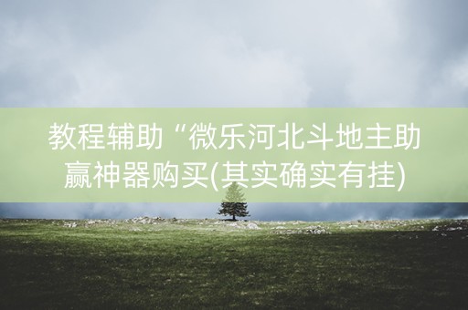 教程辅助“微乐河北斗地主助赢神器购买(其实确实有挂)