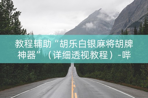 教程辅助“胡乐白银麻将胡牌神器”（详细透视教程）-哔哩哔哩