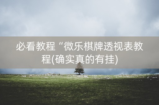 必看教程“微乐棋牌透视表教程(确实真的有挂)