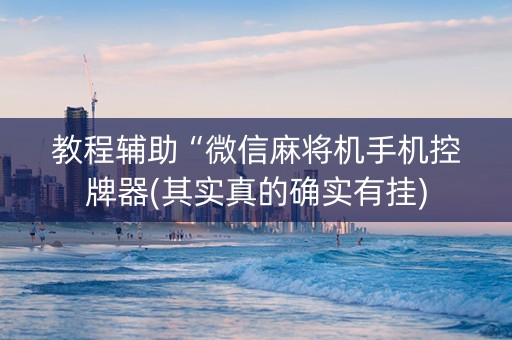 教程辅助“微信麻将机手机控牌器(其实真的确实有挂)