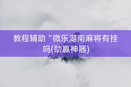 教程辅助“微乐湖南麻将有挂吗(助赢神器)