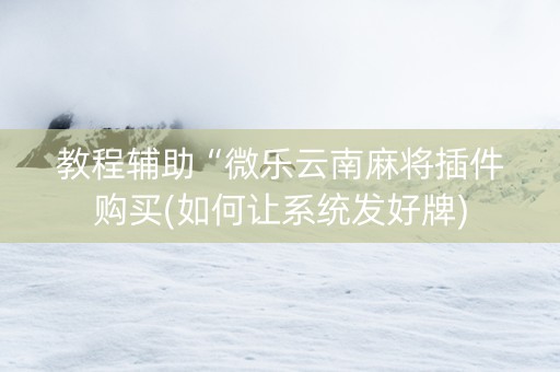 教程辅助“微乐云南麻将插件购买(如何让系统发好牌)